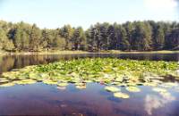 lac Creno - Corse