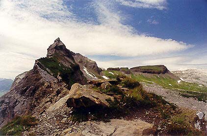 désert de Platée